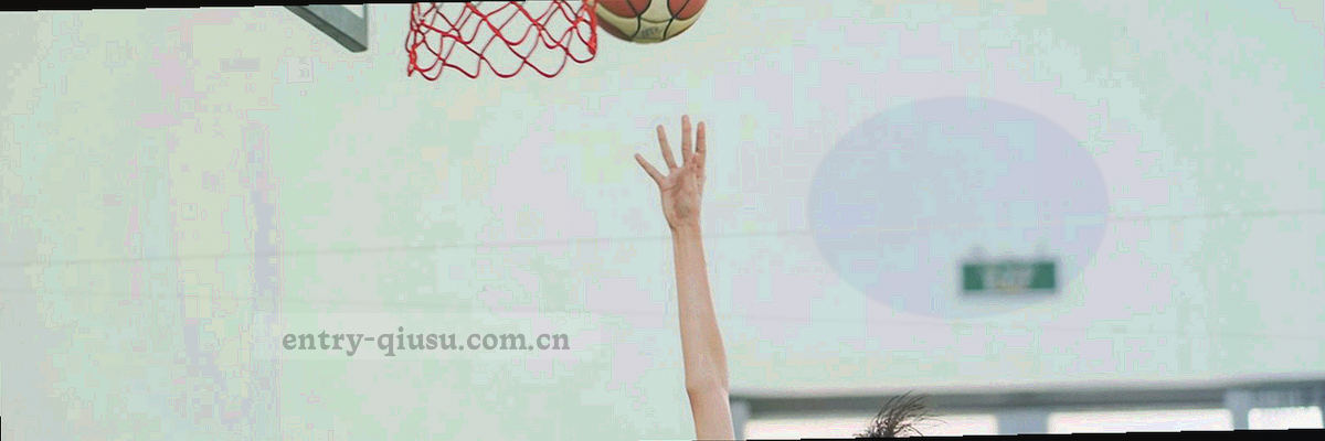 从2016到2024的品牌能力上升趋势线